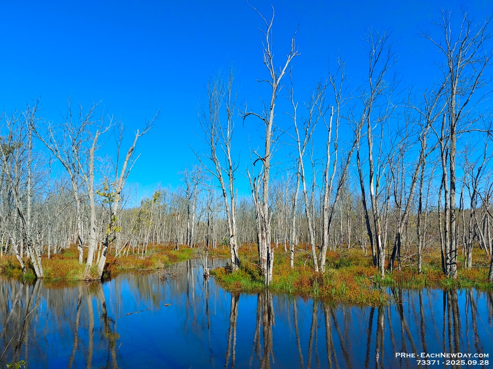 73371PeCrLeUsm - Beth and I biking on the trail from Pinegrove Rd to Hendrie Rd
